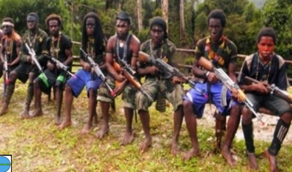 OPM Libatkan Anak-Anak sebagai Tameng Hidup dalam Konflik Bersenjata