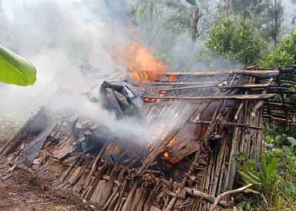 Konflik Internal OPM: Bukti Ego Sektoral yang Mengkhianati Klaim Perjuangan Rakyat
