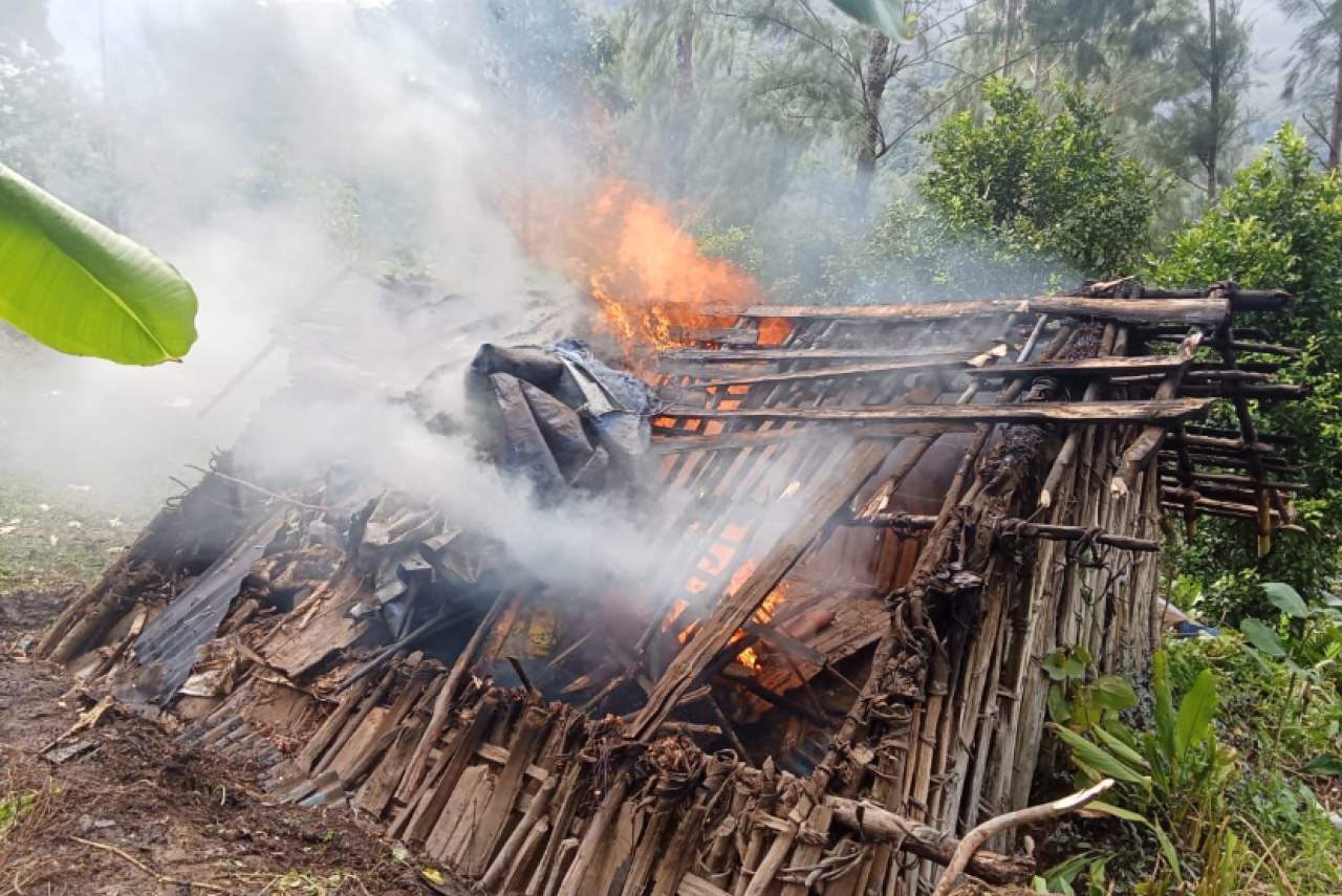 Konflik Internal OPM: Bukti Ego Sektoral yang Mengkhianati Klaim Perjuangan Rakyat