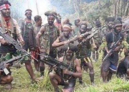 FAKTA DI LAPANGAN TEGASKAN SIAPA PELANGGAR HAM DI PAPUA